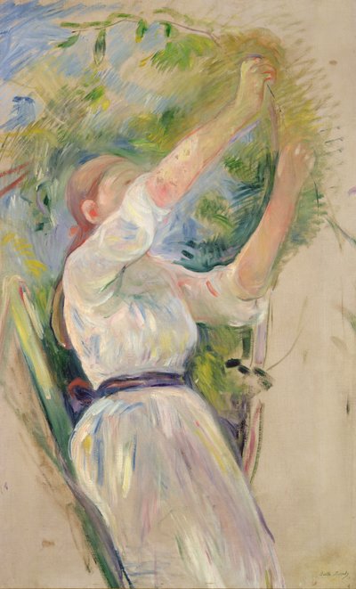 Mädchen sammelt Kirschen, 1891 von Berthe Morisot